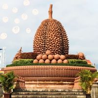 Durian statue in Kampot with line drawing graphic of fresh peppercorns